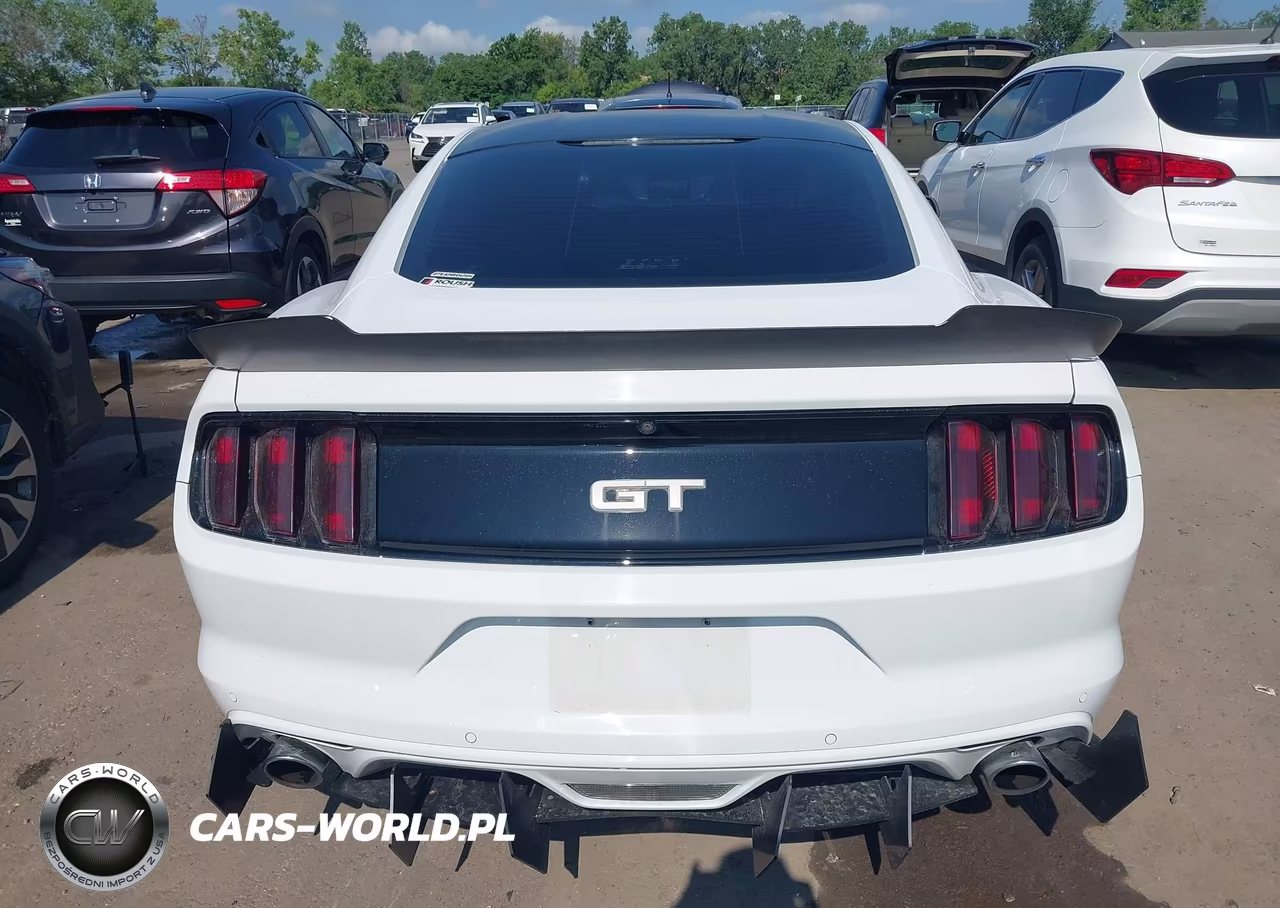 2016 Ford Mustang Gt-Gt Premium VIN:1FA6P8CF1G5229407 - 16