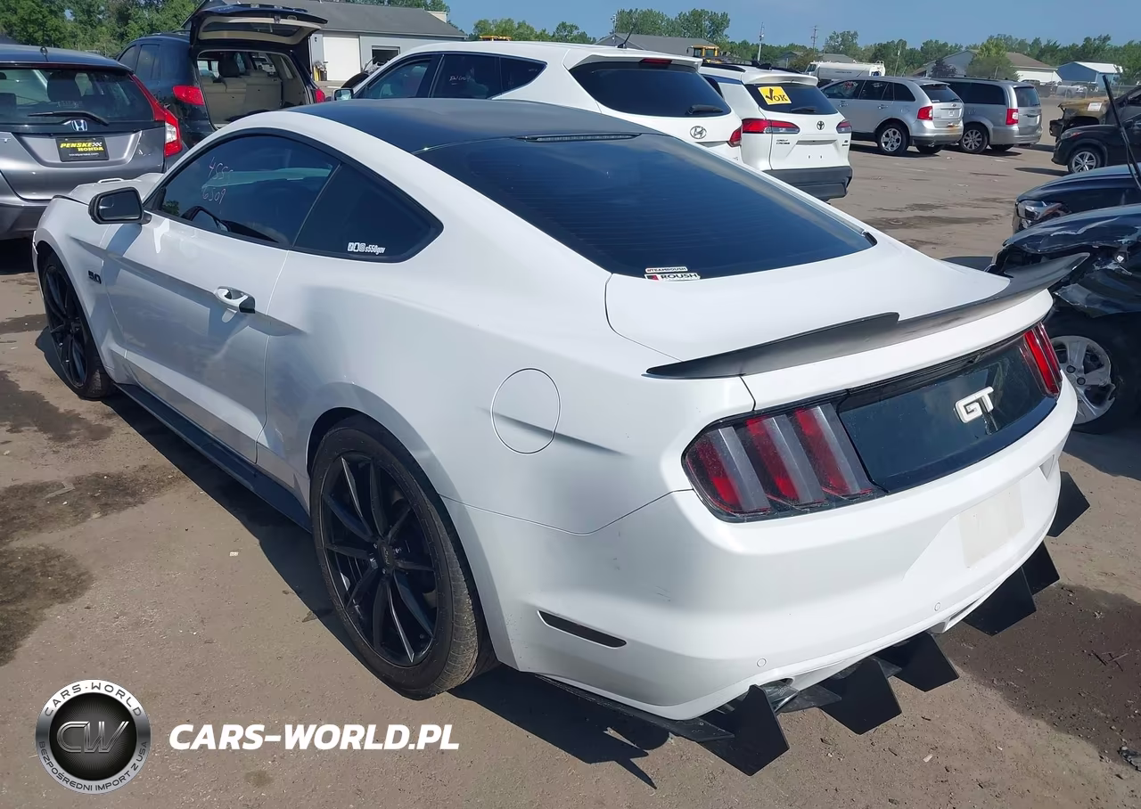 2016 Ford Mustang Gt-Gt Premium VIN:1FA6P8CF1G5229407 - 3