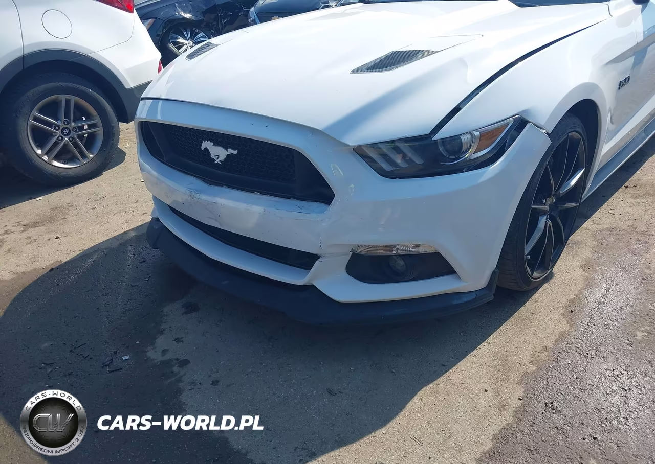 2016 Ford Mustang Gt-Gt Premium VIN:1FA6P8CF1G5229407 - 6