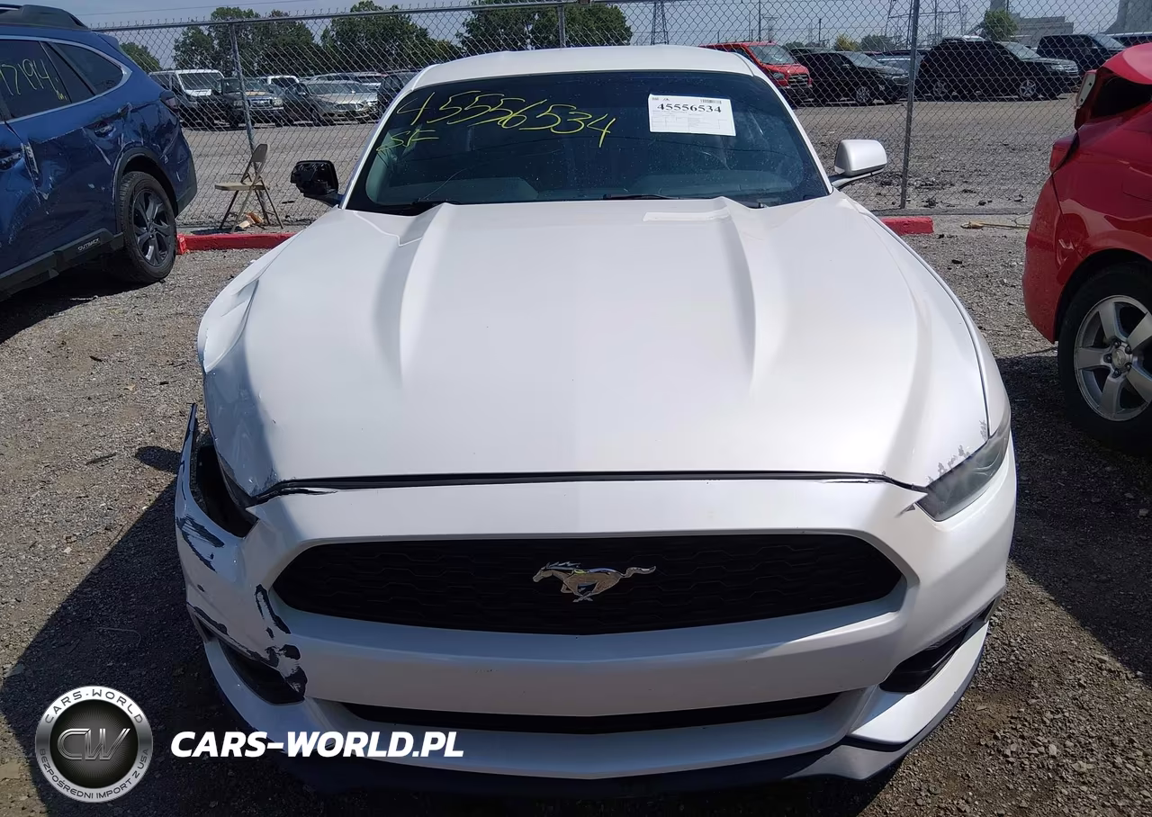 2017 Ford Mustang V6 VIN:1FA6P8AM4H5230585 - 12