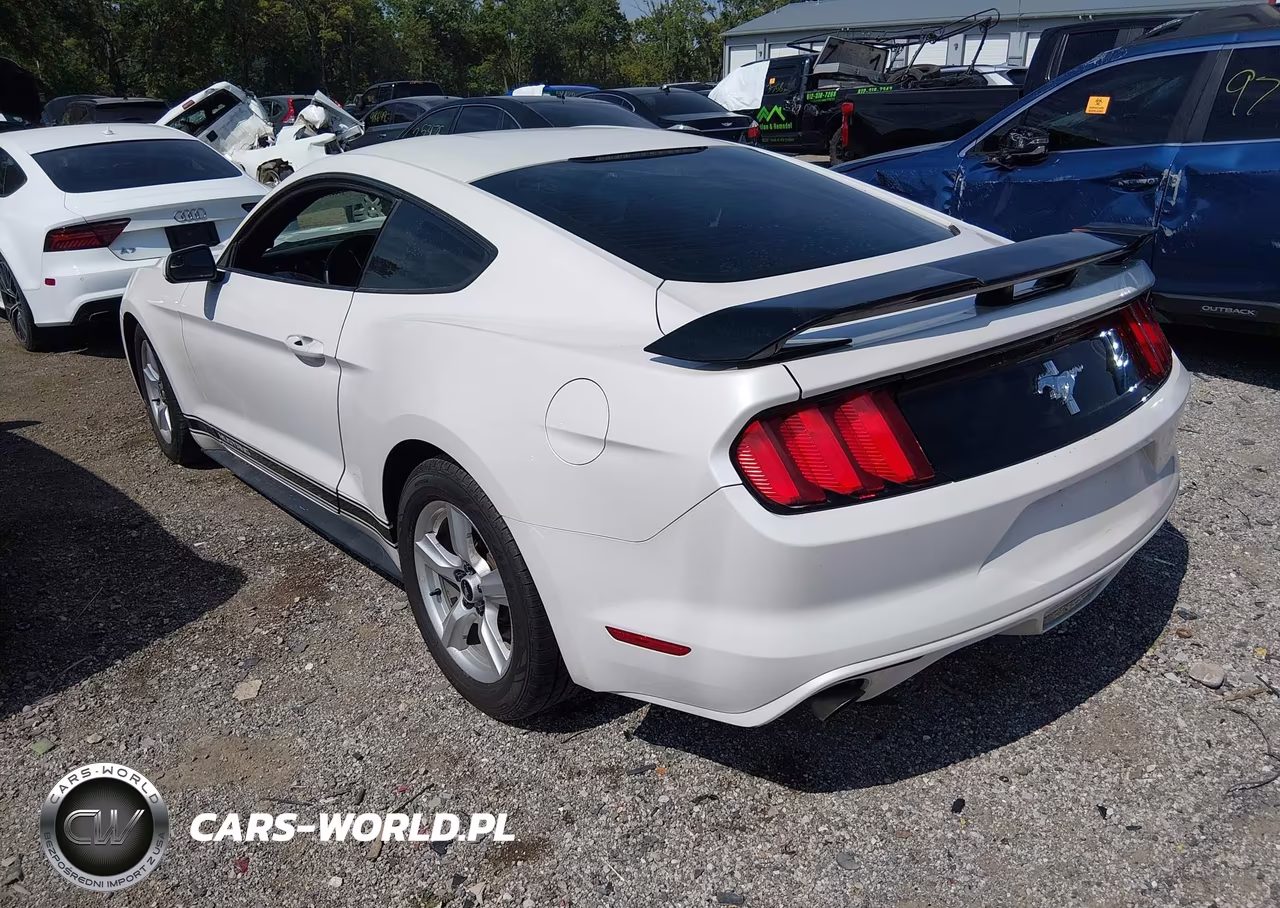 2017 Ford Mustang V6 VIN:1FA6P8AM4H5230585 - 3