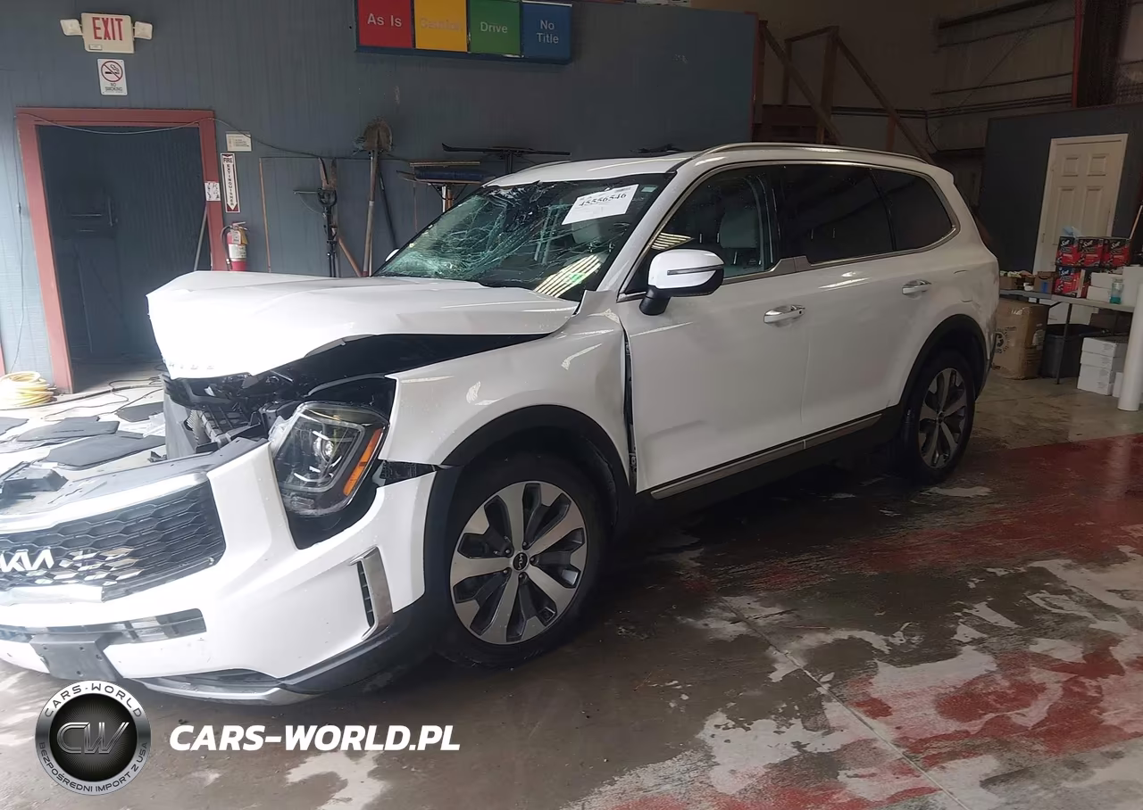 2022 Kia Telluride S VIN:5XYP64HC0NG246891 - 2