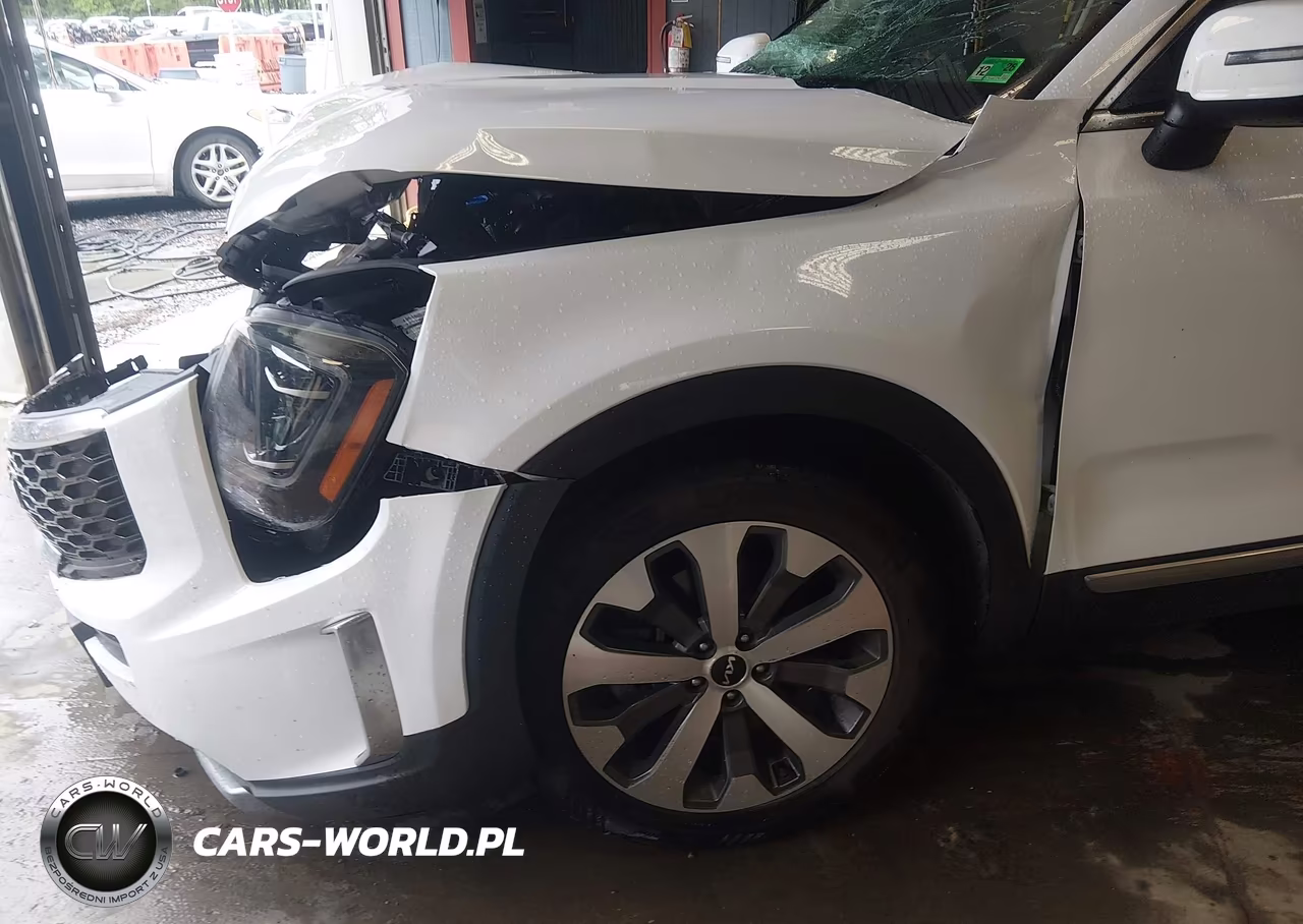 2022 Kia Telluride S VIN:5XYP64HC0NG246891 - 6