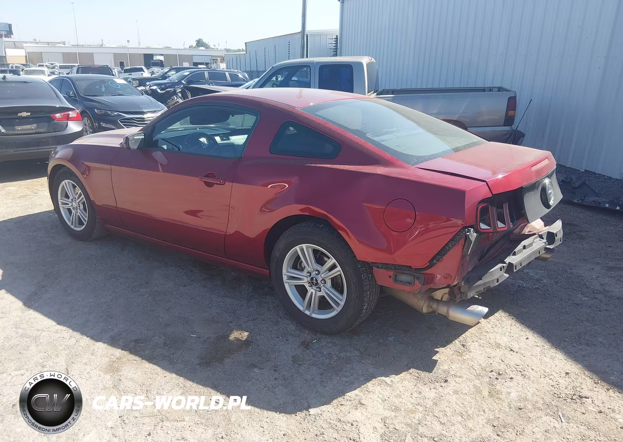 2014 Ford Mustang V6-V6 Premium VIN:1ZVBP8AM7E5284495 - 3