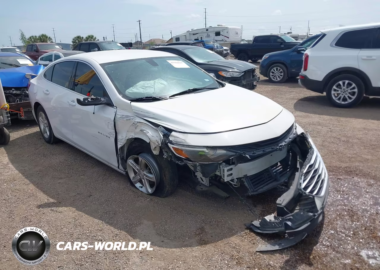 2019 Chevrolet Malibu 1Fl
