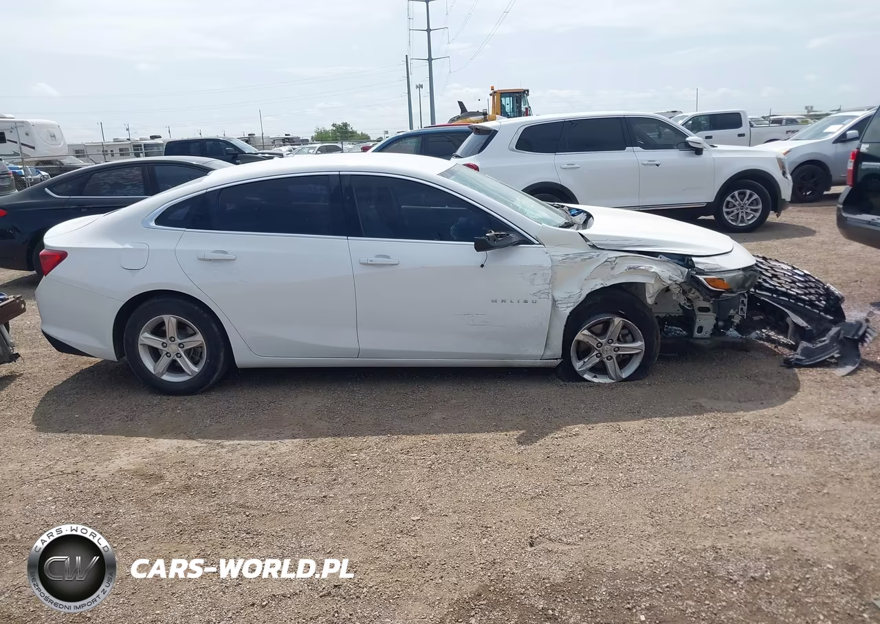 2019 Chevrolet Malibu 1Fl VIN:1G1ZC5ST0KF133496 - 14