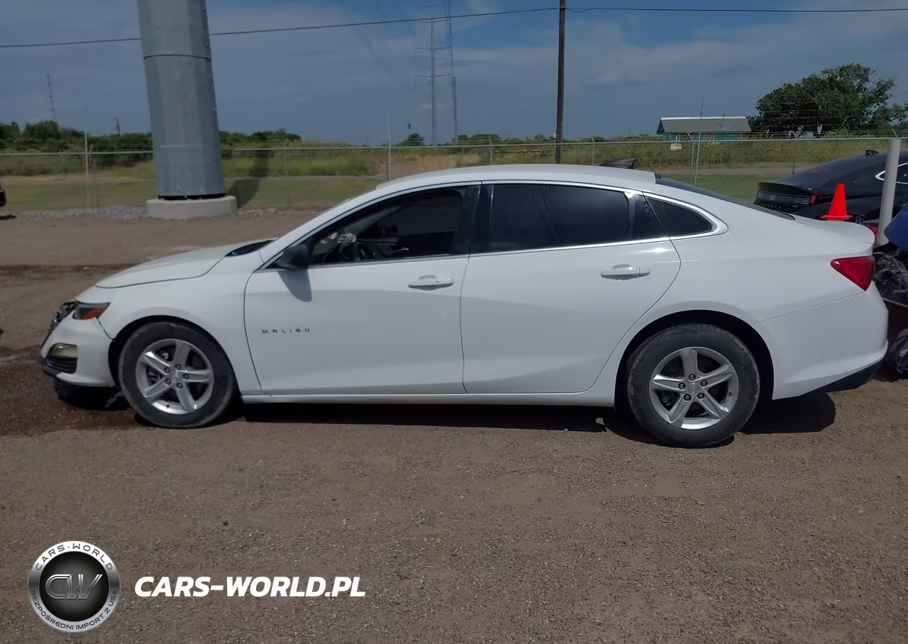 2019 Chevrolet Malibu 1Fl VIN:1G1ZC5ST0KF133496 - 15