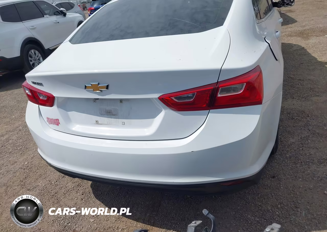 2019 Chevrolet Malibu 1Fl VIN:1G1ZC5ST0KF133496 - 17