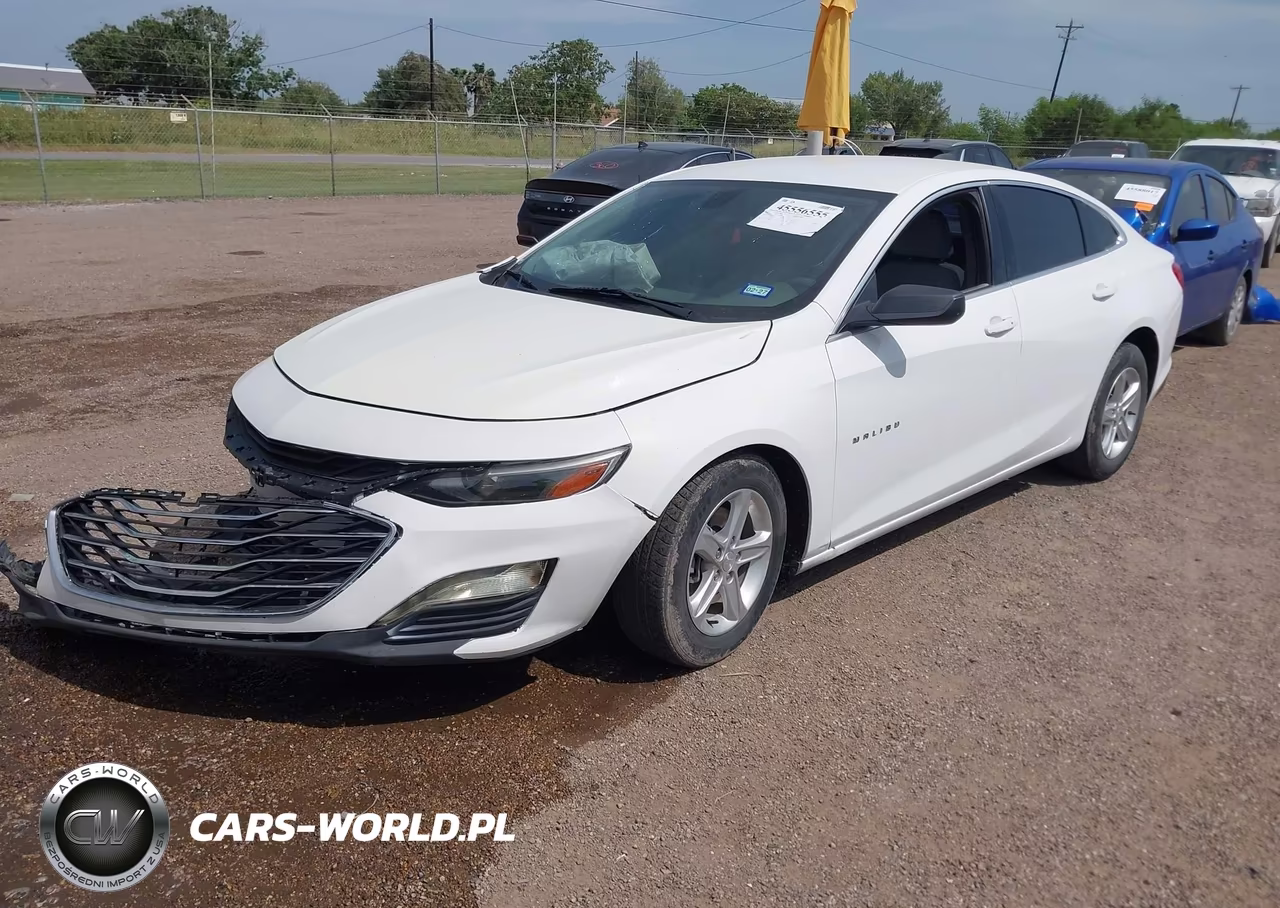 2019 Chevrolet Malibu 1Fl VIN:1G1ZC5ST0KF133496 - 2