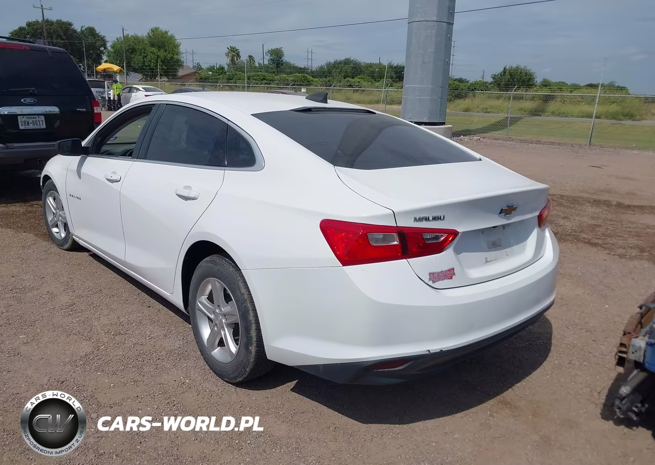 2019 Chevrolet Malibu 1Fl VIN:1G1ZC5ST0KF133496 - 3