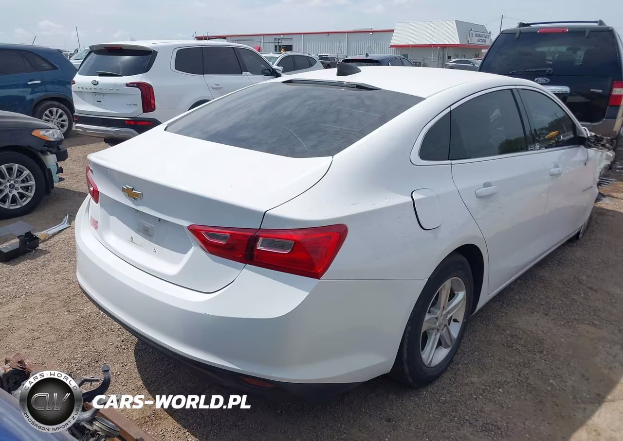 2019 Chevrolet Malibu 1Fl VIN:1G1ZC5ST0KF133496 - 4
