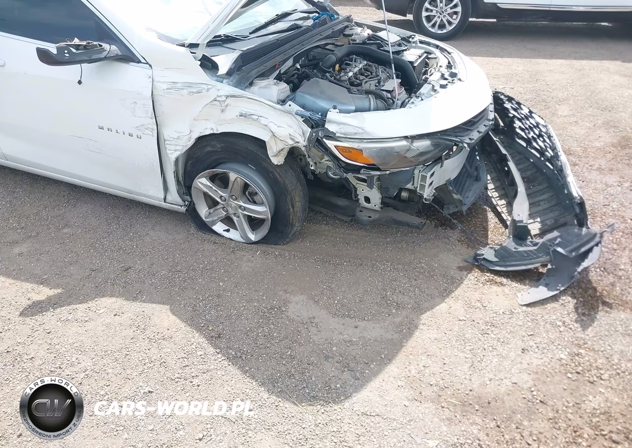 2019 Chevrolet Malibu 1Fl VIN:1G1ZC5ST0KF133496 - 6