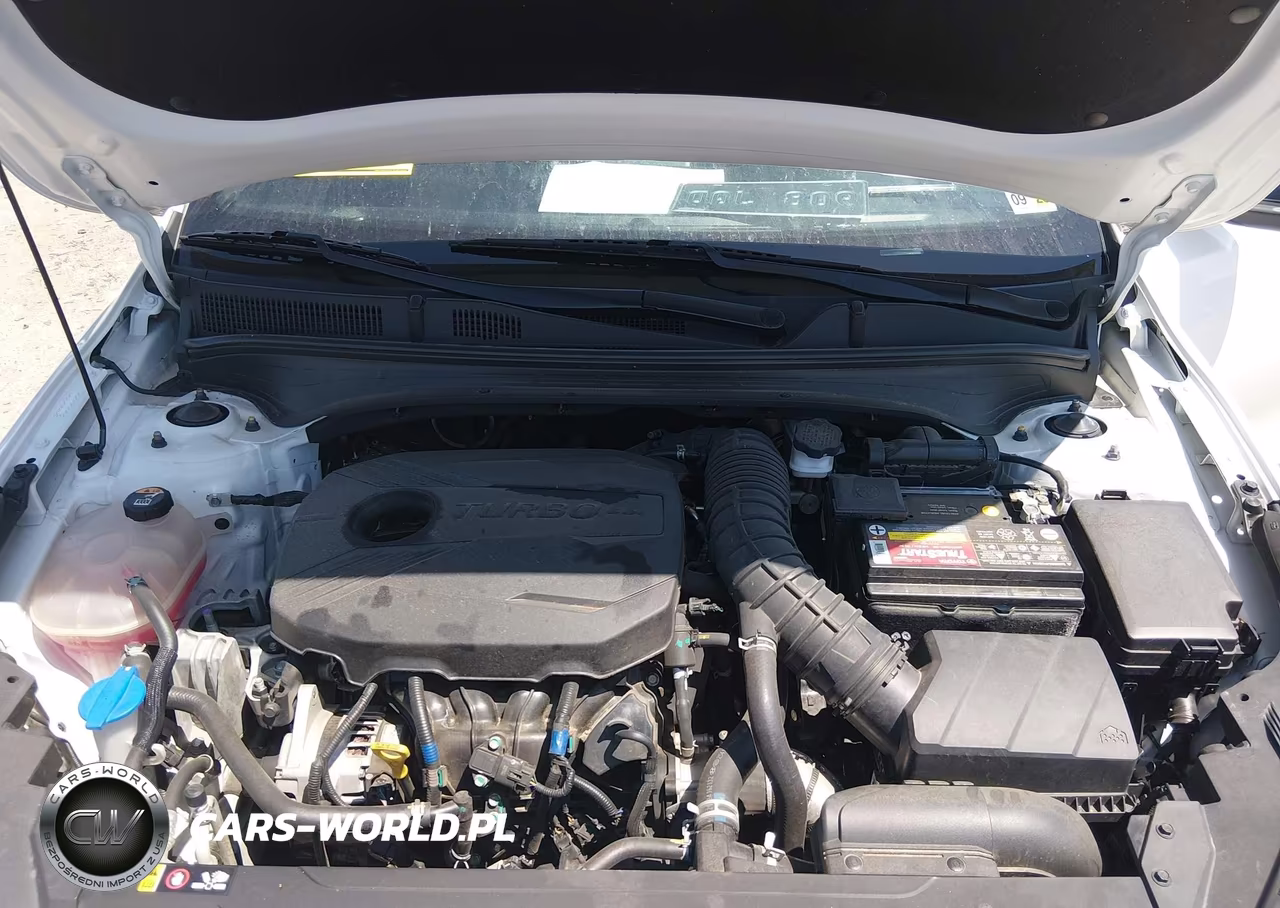 2023 Kia Forte Gt Manual VIN:3KPF44AC2PE539851 - 10