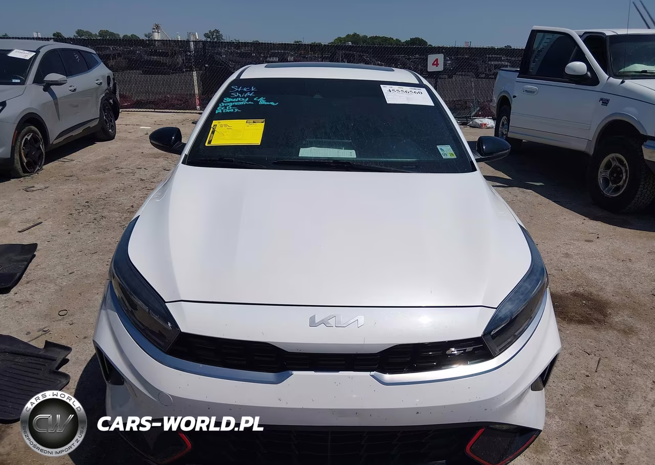 2023 Kia Forte Gt Manual VIN:3KPF44AC2PE539851 - 12