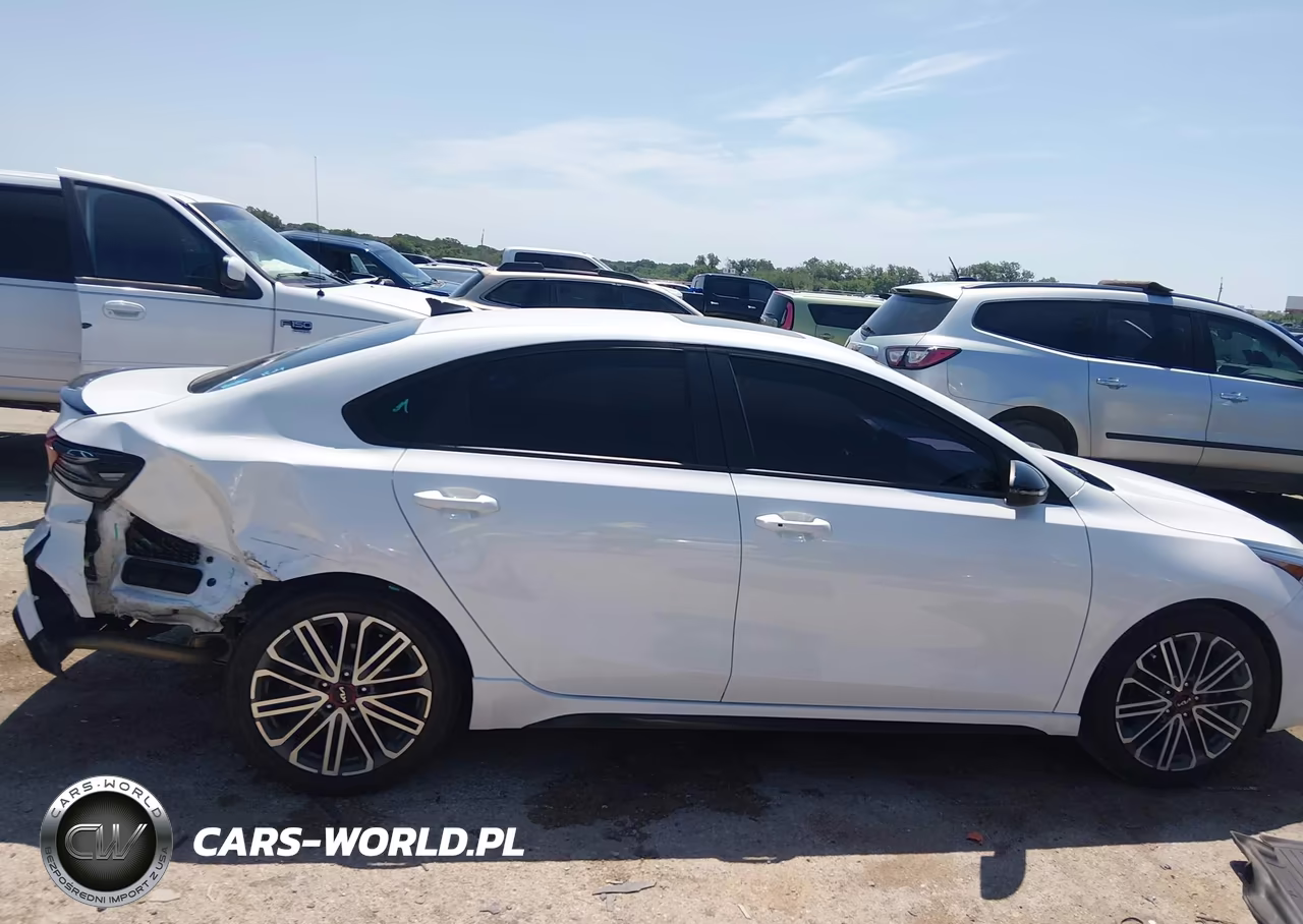 2023 Kia Forte Gt Manual VIN:3KPF44AC2PE539851 - 13