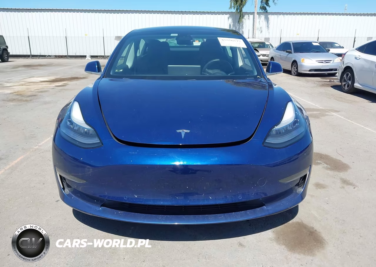 2019 Tesla Model 3 Long Range-Mid Range-Standard Range-Standard Range Plus VIN:5YJ3E1EA1KF309258 - 12