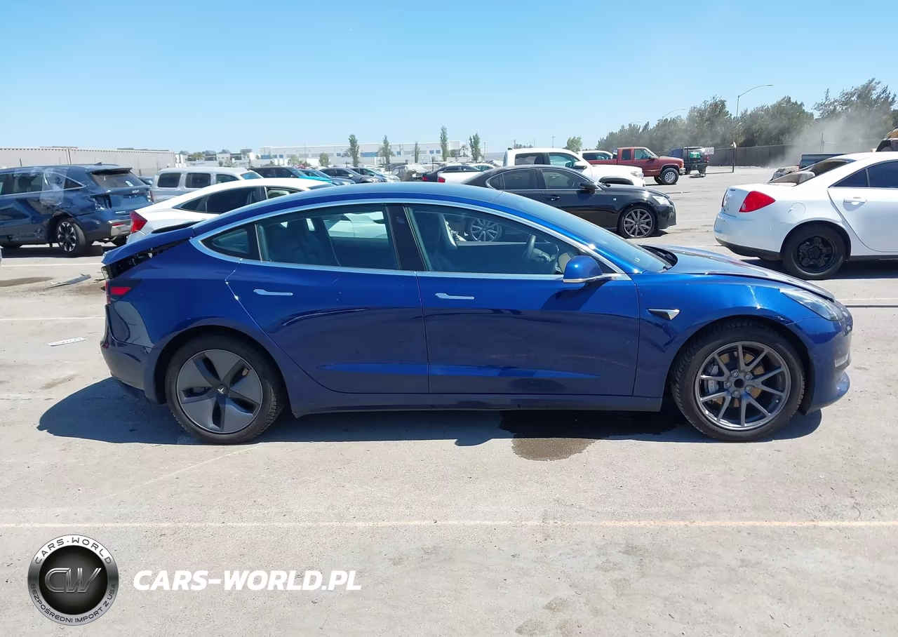 2019 Tesla Model 3 Long Range-Mid Range-Standard Range-Standard Range Plus VIN:5YJ3E1EA1KF309258 - 13