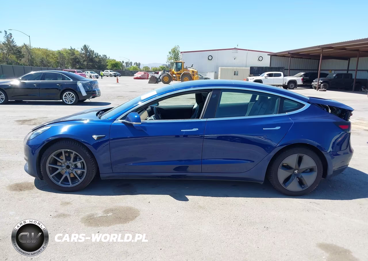 2019 Tesla Model 3 Long Range-Mid Range-Standard Range-Standard Range Plus VIN:5YJ3E1EA1KF309258 - 14