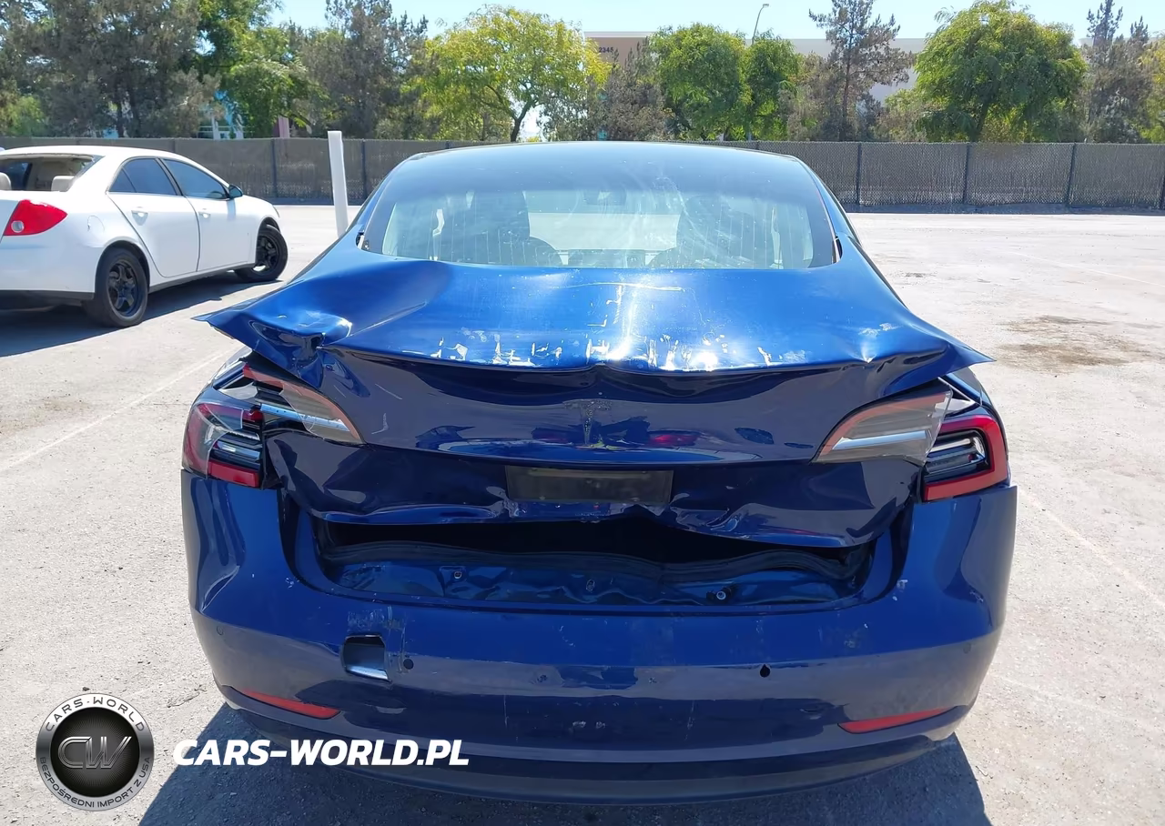 2019 Tesla Model 3 Long Range-Mid Range-Standard Range-Standard Range Plus VIN:5YJ3E1EA1KF309258 - 16