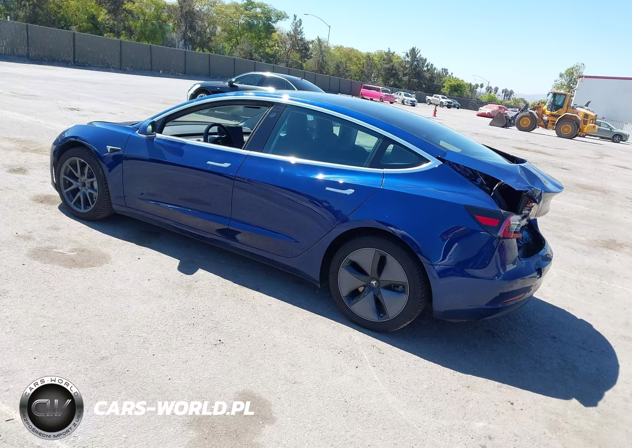 2019 Tesla Model 3 Long Range-Mid Range-Standard Range-Standard Range Plus VIN:5YJ3E1EA1KF309258 - 3