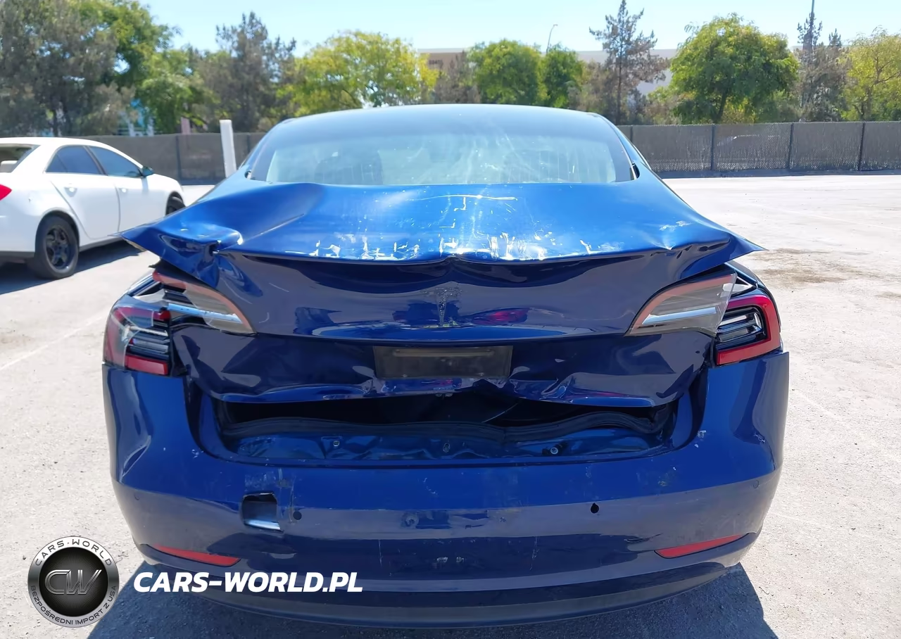 2019 Tesla Model 3 Long Range-Mid Range-Standard Range-Standard Range Plus VIN:5YJ3E1EA1KF309258 - 6