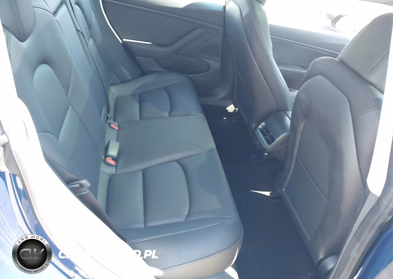 2019 Tesla Model 3 Long Range-Mid Range-Standard Range-Standard Range Plus VIN:5YJ3E1EA1KF309258 - 8