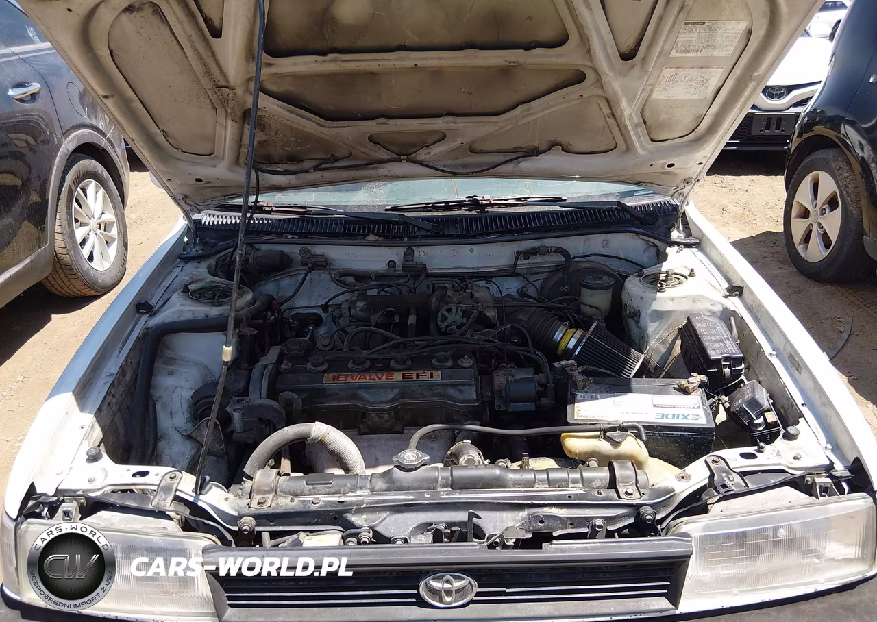 1991 Toyota Corolla Dlx VIN:JT2AE94K3M3489674 - 10