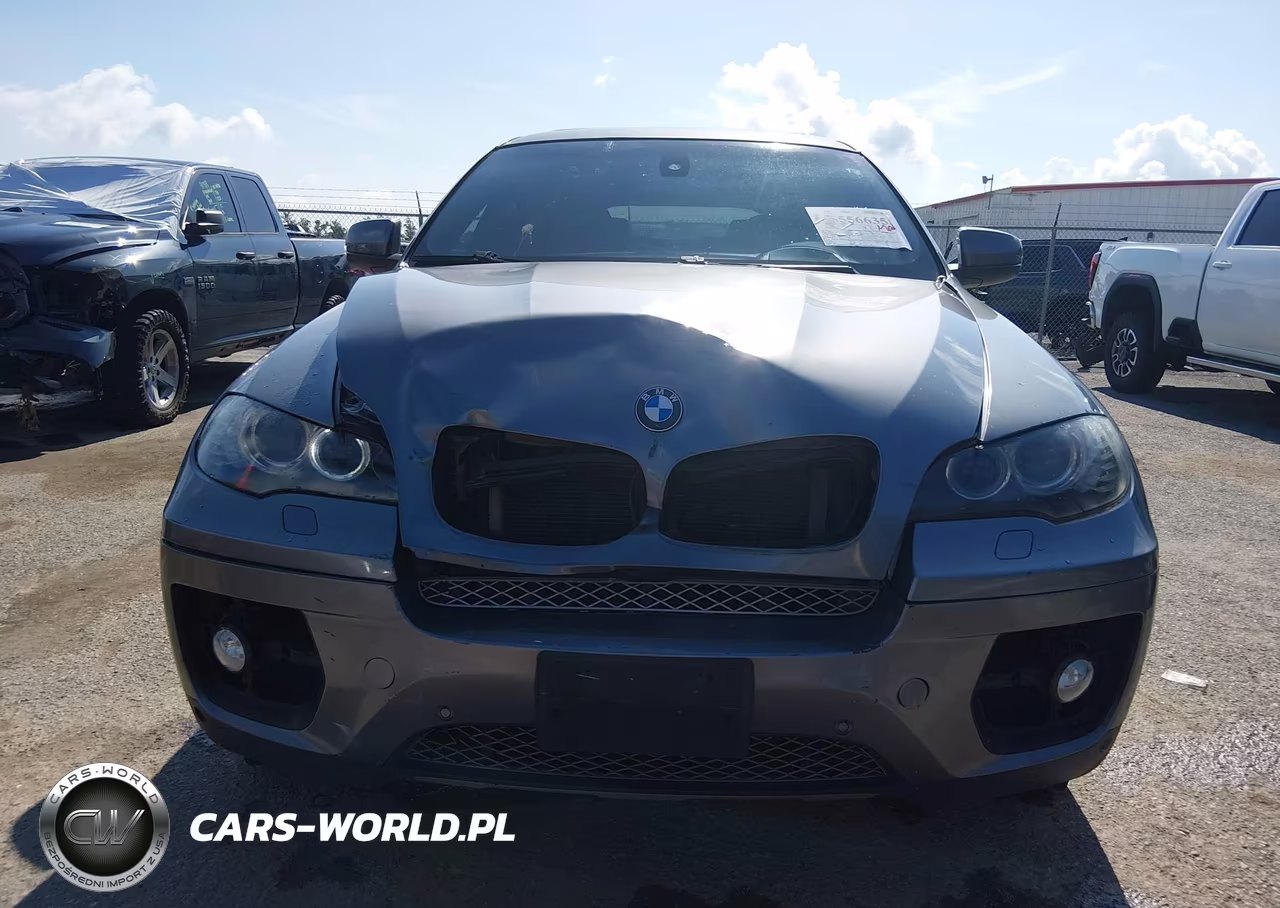 2009 BMW X6 xDrive50I VIN:5UXFG83579LZ93308 - 12