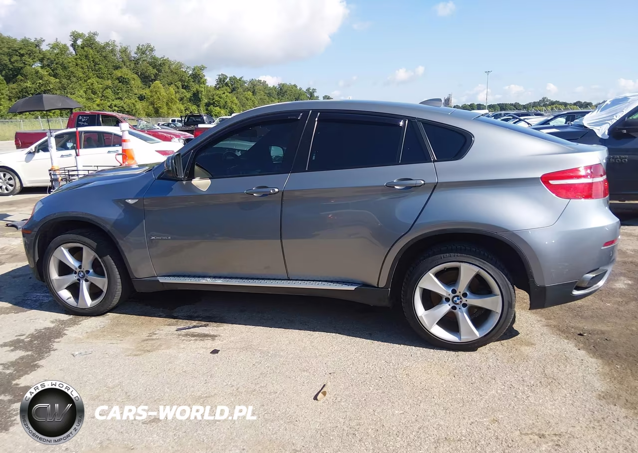 2009 BMW X6 xDrive50I VIN:5UXFG83579LZ93308 - 14