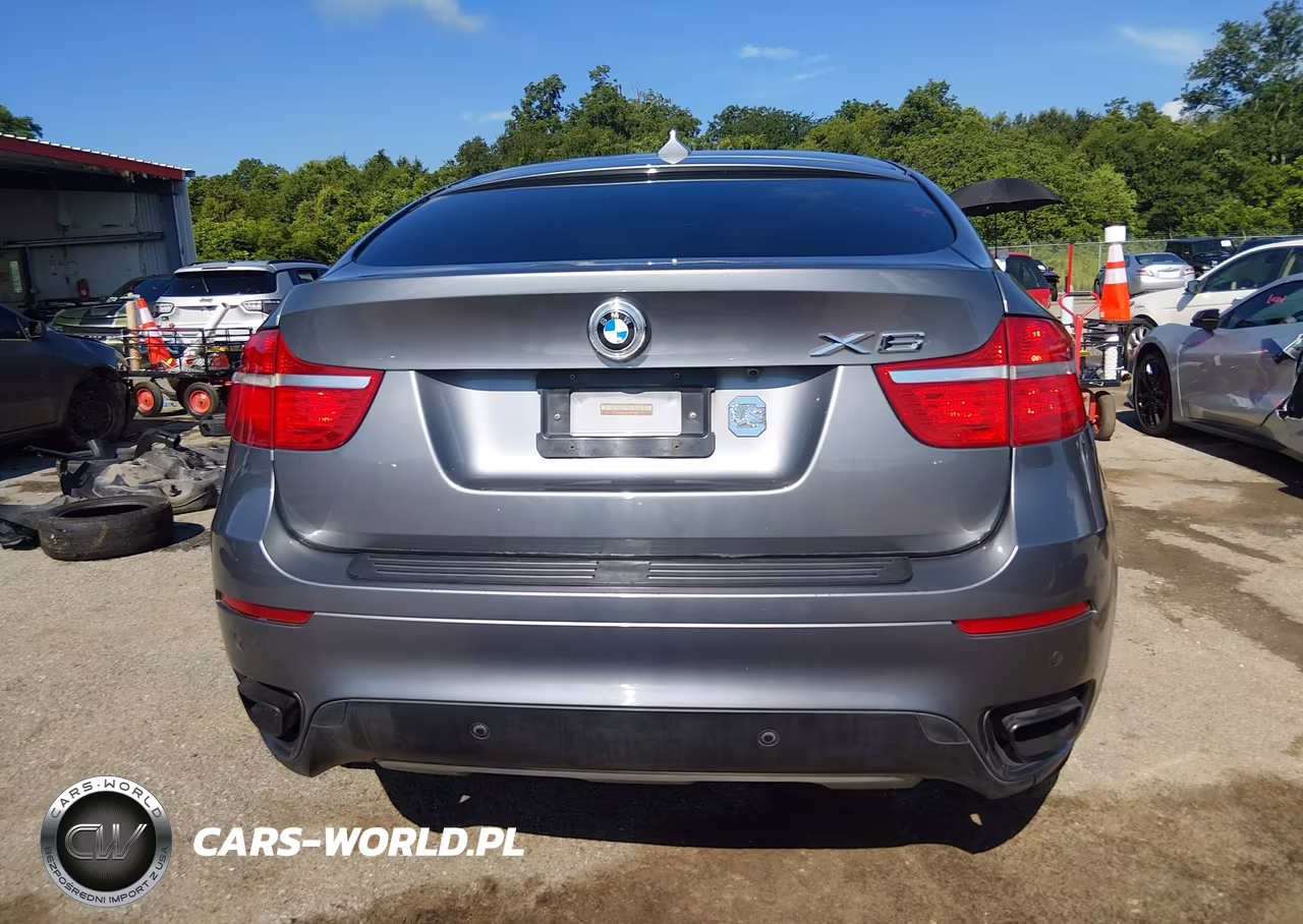 2009 BMW X6 xDrive50I VIN:5UXFG83579LZ93308 - 16