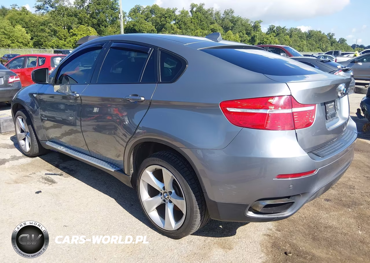 2009 BMW X6 xDrive50I VIN:5UXFG83579LZ93308 - 3