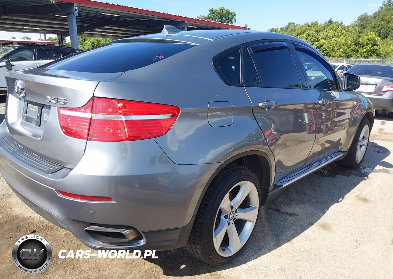 2009 BMW X6 xDrive50I VIN:5UXFG83579LZ93308 - 4