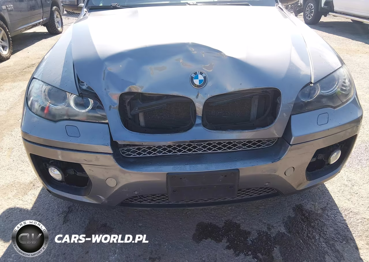 2009 BMW X6 xDrive50I VIN:5UXFG83579LZ93308 - 6