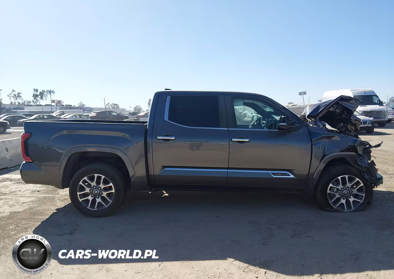 2024 Toyota Tundra 1794 Edition VIN:5TFMA5DB3RX208322 - 17