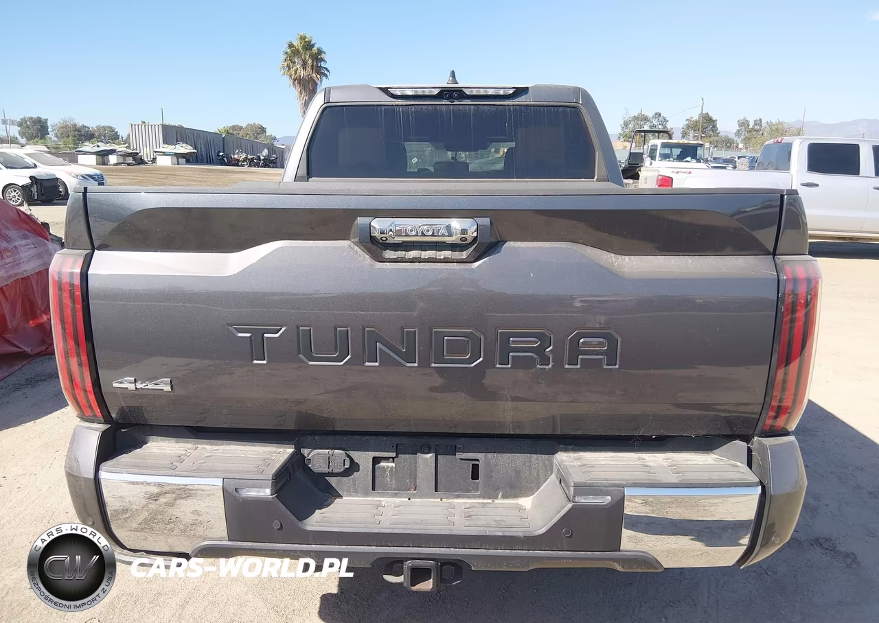 2024 Toyota Tundra 1794 Edition VIN:5TFMA5DB3RX208322 - 20