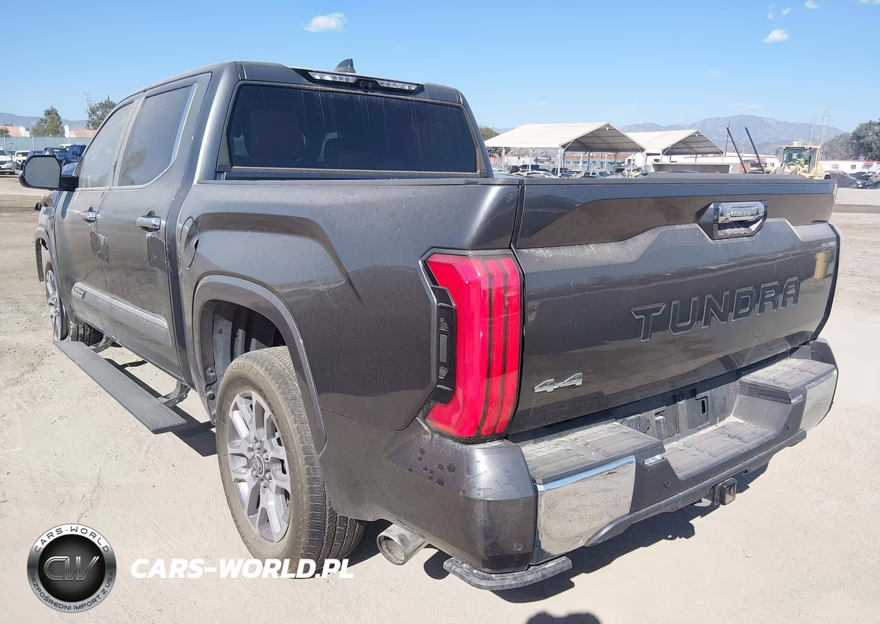 2024 Toyota Tundra 1794 Edition VIN:5TFMA5DB3RX208322 - 3