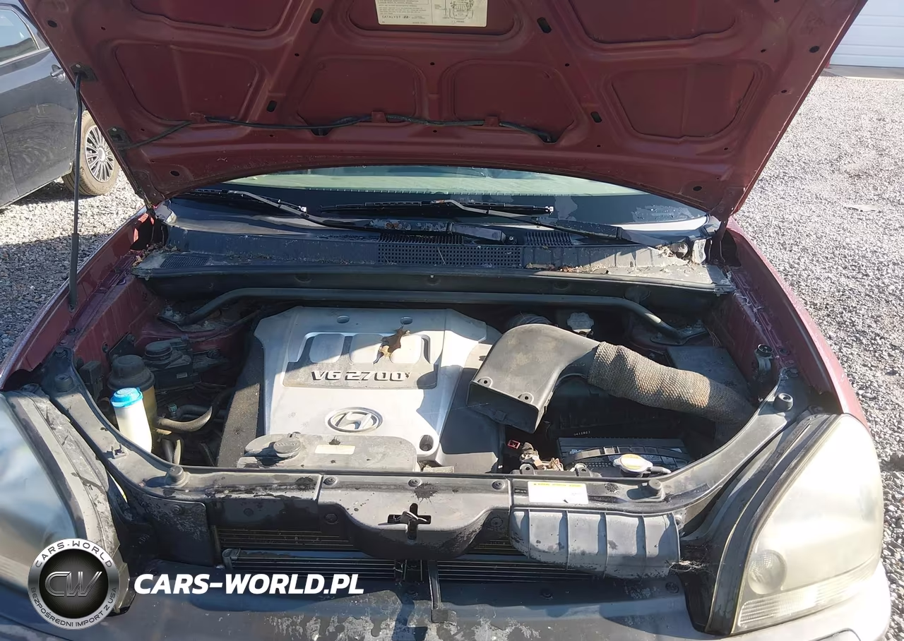 2005 Hyundai Tucson Gls-Lx VIN:KM8JN12D85U080669 - 10