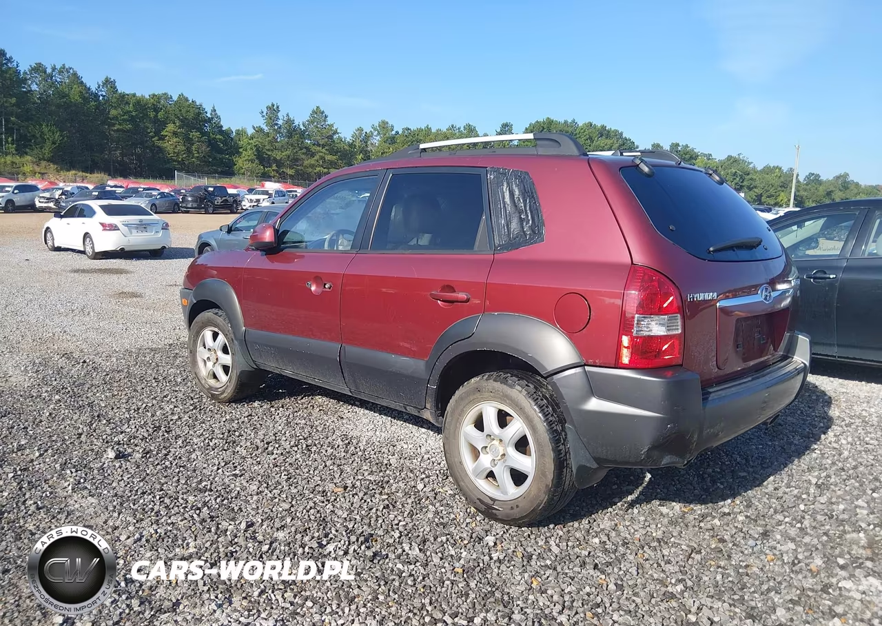 2005 Hyundai Tucson Gls-Lx VIN:KM8JN12D85U080669 - 6