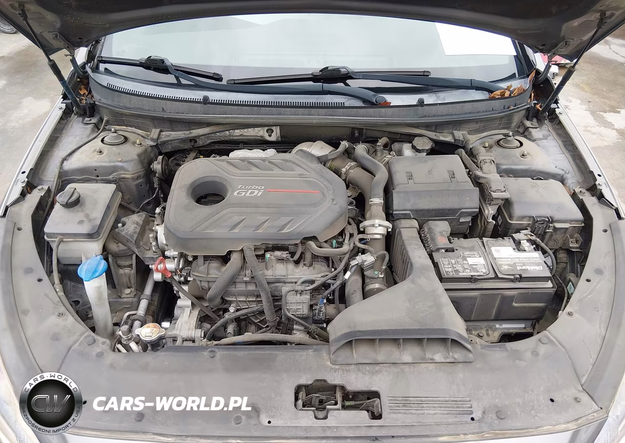 2019 Hyundai Sonata Limited 2.0T VIN:5NPE34AB4KH806384 - 10
