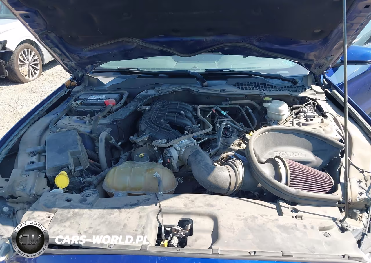 2015 Ford Mustang V6 VIN:1FA6P8AM3F5403090 - 10