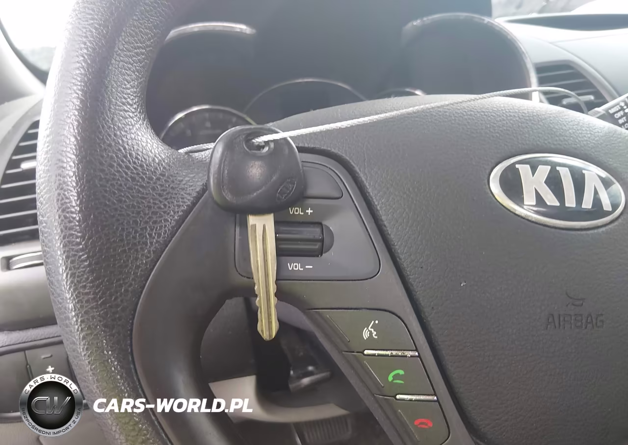 2015 Kia Forte Lx VIN:KNAFK4A64F5346544 - 11