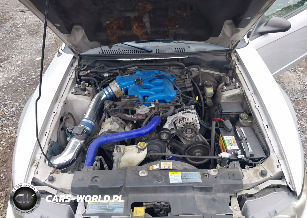 2001 Ford Mustang VIN:1FAFP40441F261541 - 10