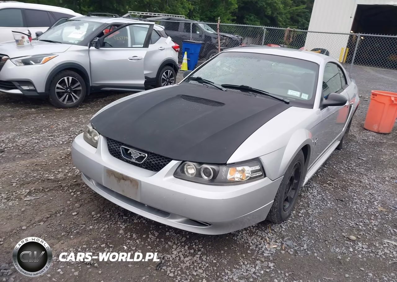 2001 Ford Mustang VIN:1FAFP40441F261541 - 6