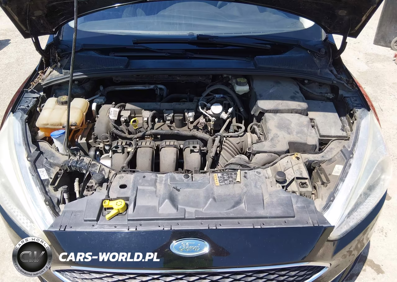 2017 Ford Focus S VIN:1FADP3E23HL296236 - 10