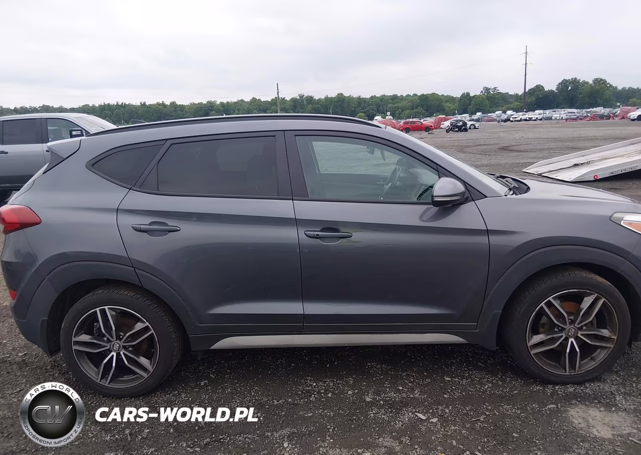 2018 Hyundai Tucson Value VIN:KM8J3CA29JU751651 - 13