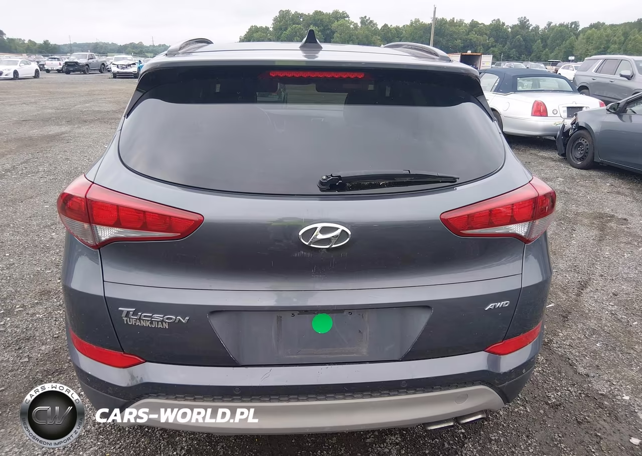 2018 Hyundai Tucson Value VIN:KM8J3CA29JU751651 - 16