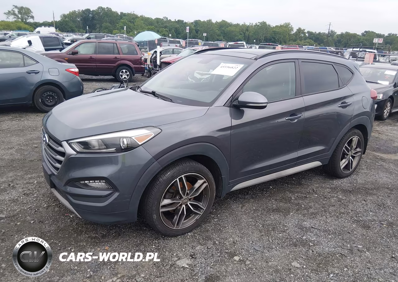 2018 Hyundai Tucson Value VIN:KM8J3CA29JU751651 - 2