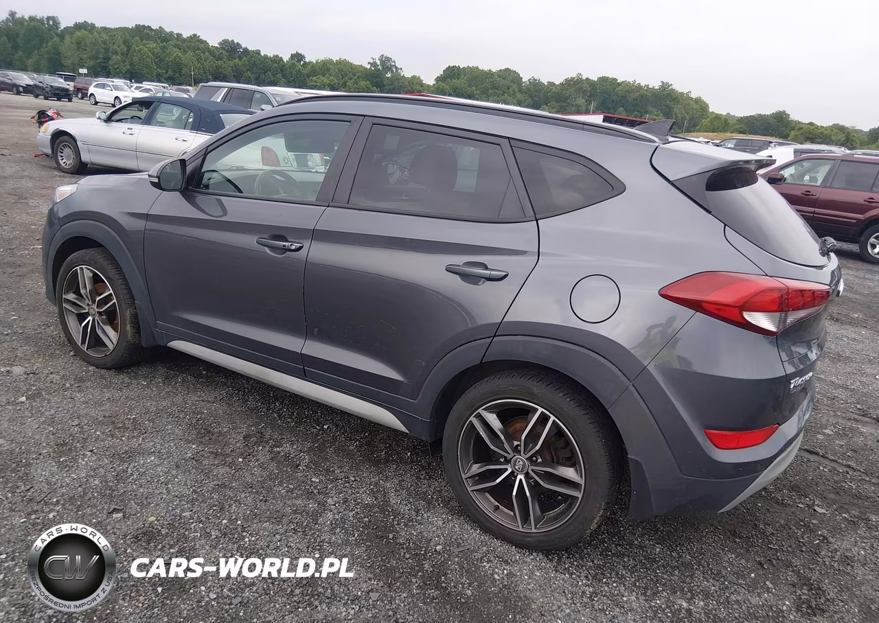 2018 Hyundai Tucson Value VIN:KM8J3CA29JU751651 - 3