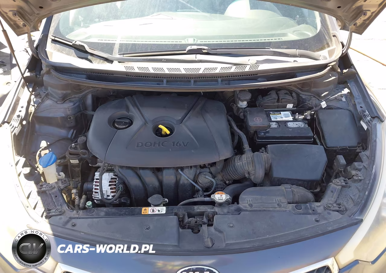2016 Kia Forte Lx VIN:KNAFX4A69G5549092 - 10
