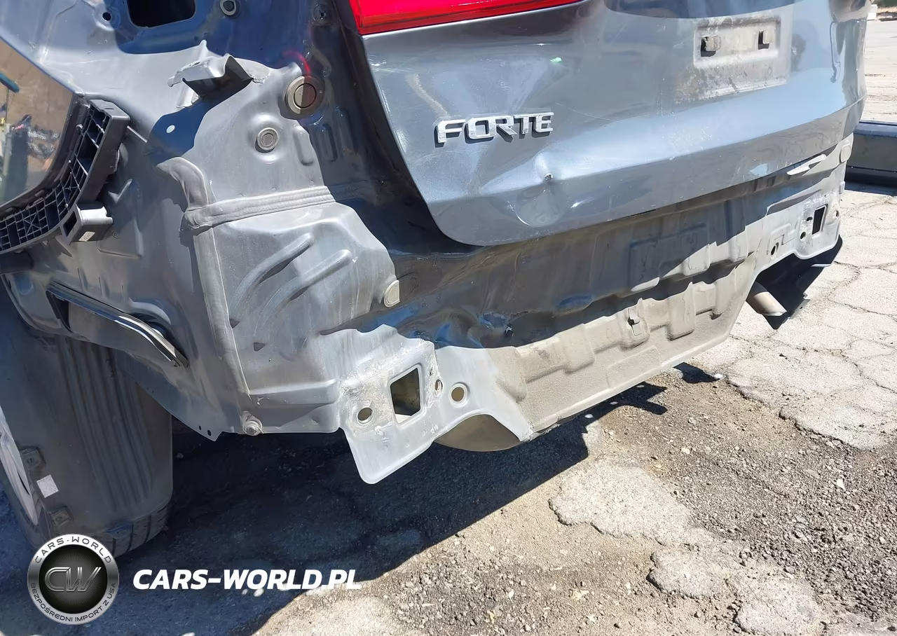 2016 Kia Forte Lx VIN:KNAFX4A69G5549092 - 6